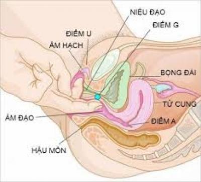 Cách làm cô bé ra nhiều nước