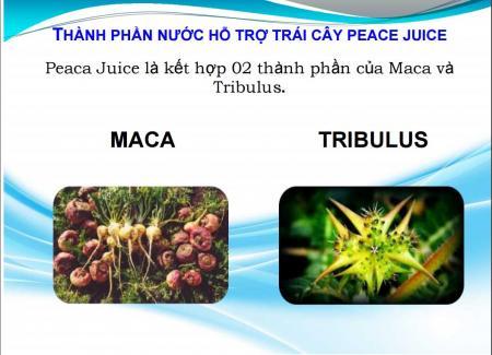 PEACA JUICE CHIẾT XUẤT 100% TỪ THẢO DƯỢC